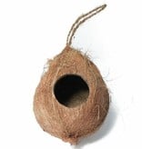 All things reptile Hanging Coconut Reptile Hide 1 Hole