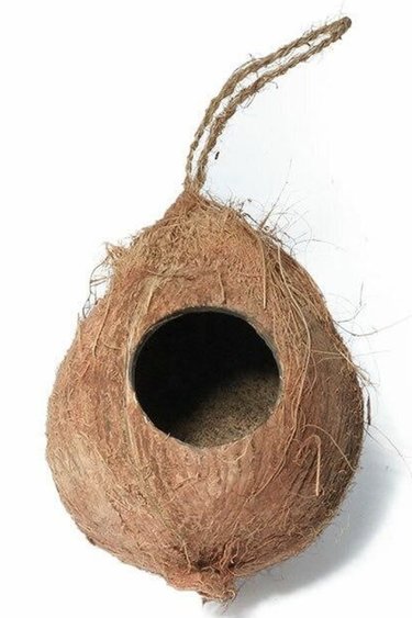 All things reptile ATR ART-CNHH Cachette suspendu noix de coco à 1 trou