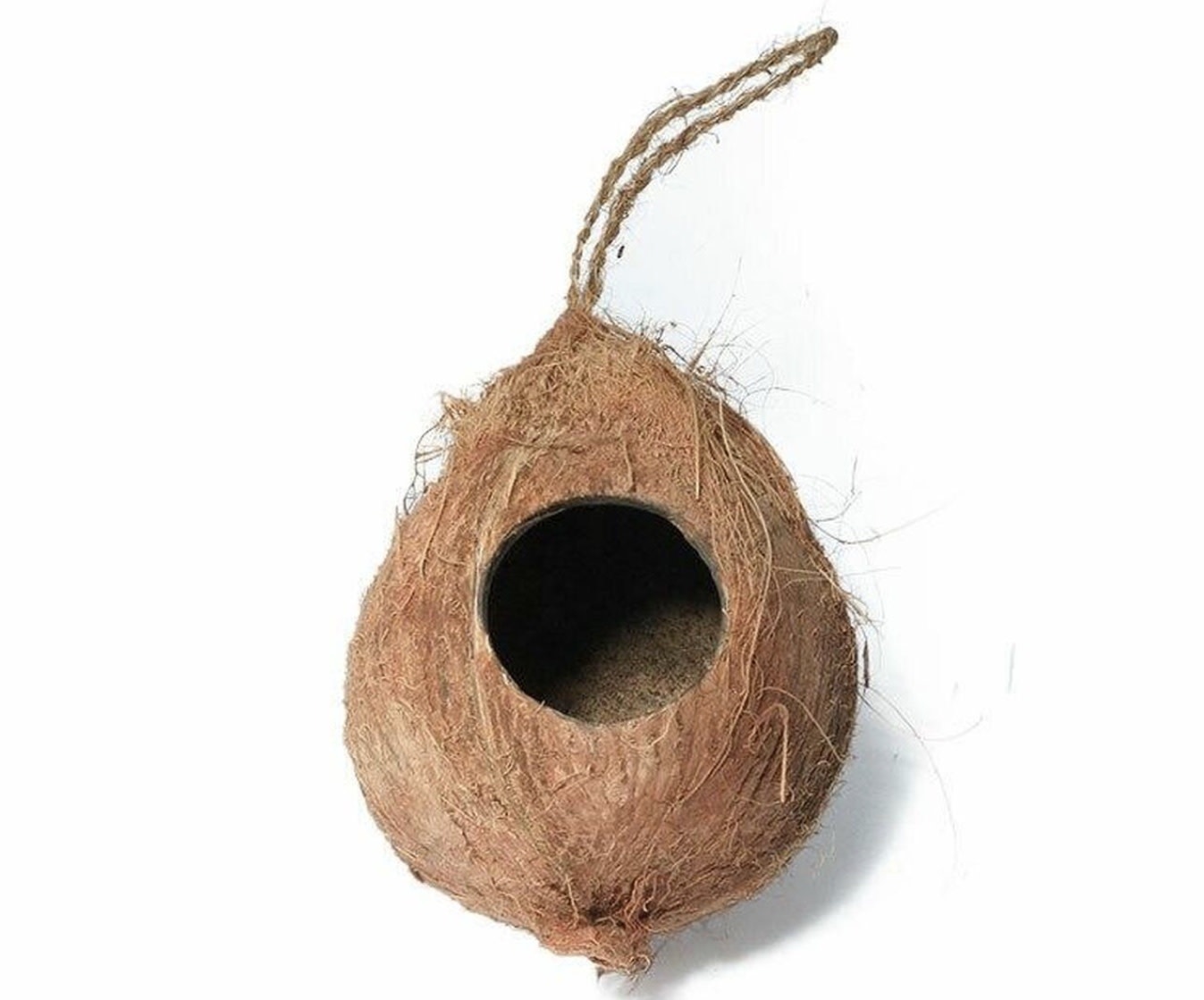 All things reptile ATR ART-CNHH Cachette suspendu noix de coco à 1 trou