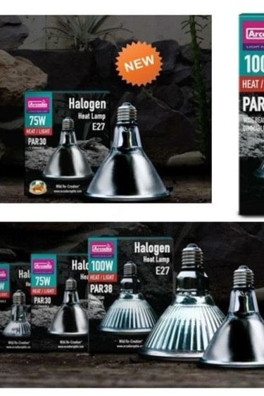 DoRight E27 Reptile Ampoules Chauffantes 50W, Dimmable Rétro Éclairage  Infrarouge Lampe De Chaleur Ampoule Spot Basking Pour Dragon Barbu, Lézard