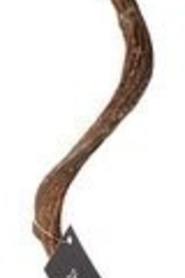 Galapagos GALAPAGOS Branche de Jungle naturelle brune torsadée