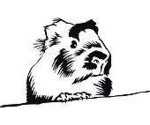 Frozen Guinea Pig Magazoo The Universe Of Reptiles