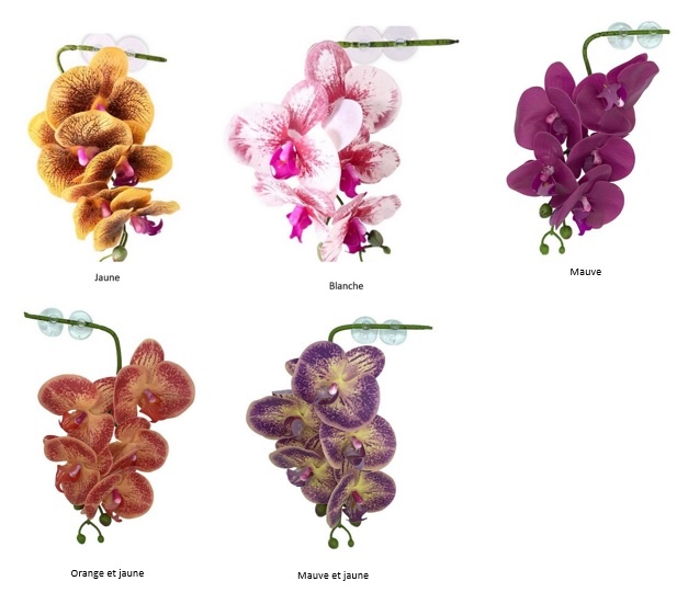 Pangea PANGEA Orchidées suspendues