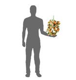 Pangea PANGEA Plante suspendue