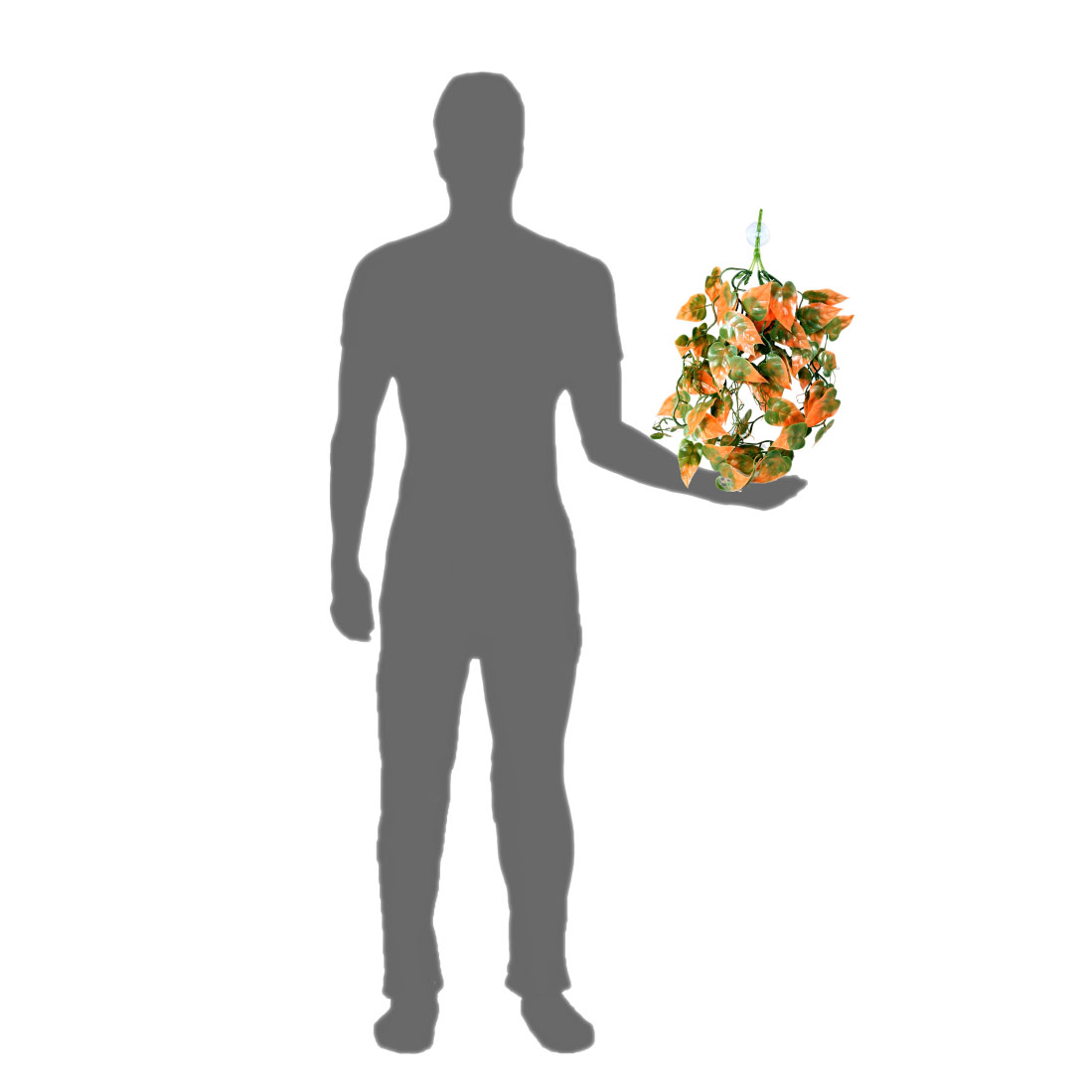 Pangea PANGEA Plante suspendue