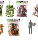 Pangea PANGEA Plante suspendue