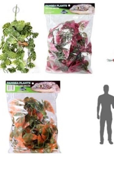 Pangea PANGEA Plante suspendue