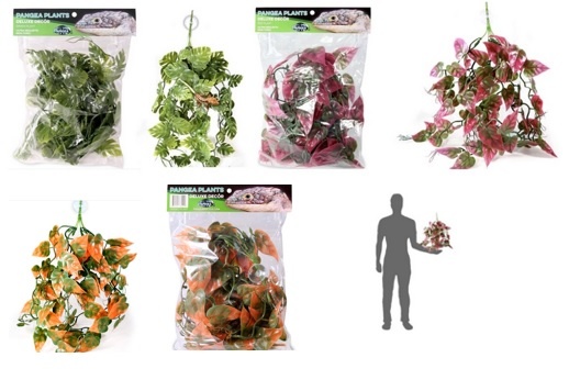 Pangea PANGEA Plante suspendue