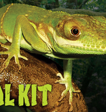 Zoomed ZOO MED NT-2T Terrarium "Naturalistic" ensemble tropical