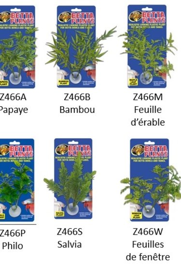 Zoomed ZOO MED Plante à betta