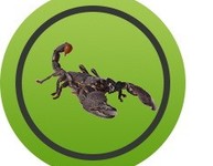 Scorpion - Centipède Scorpion - Centipède