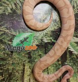 Magazoo Ball python Banana Mojave Enchi male (100% het clown) *female maker