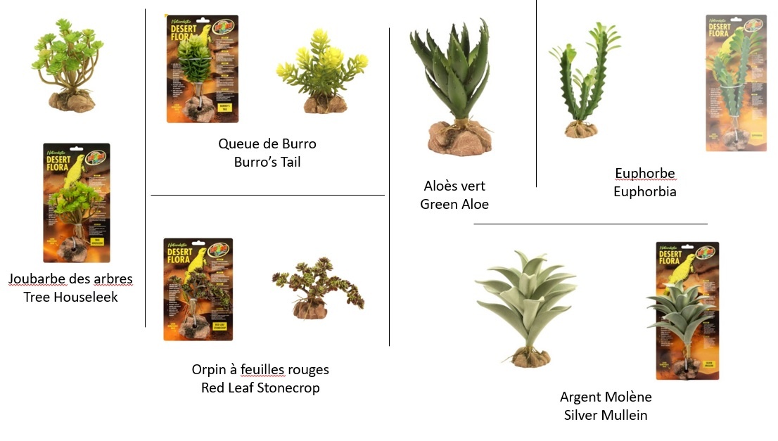 Zoomed ZOO MED Flore du désert