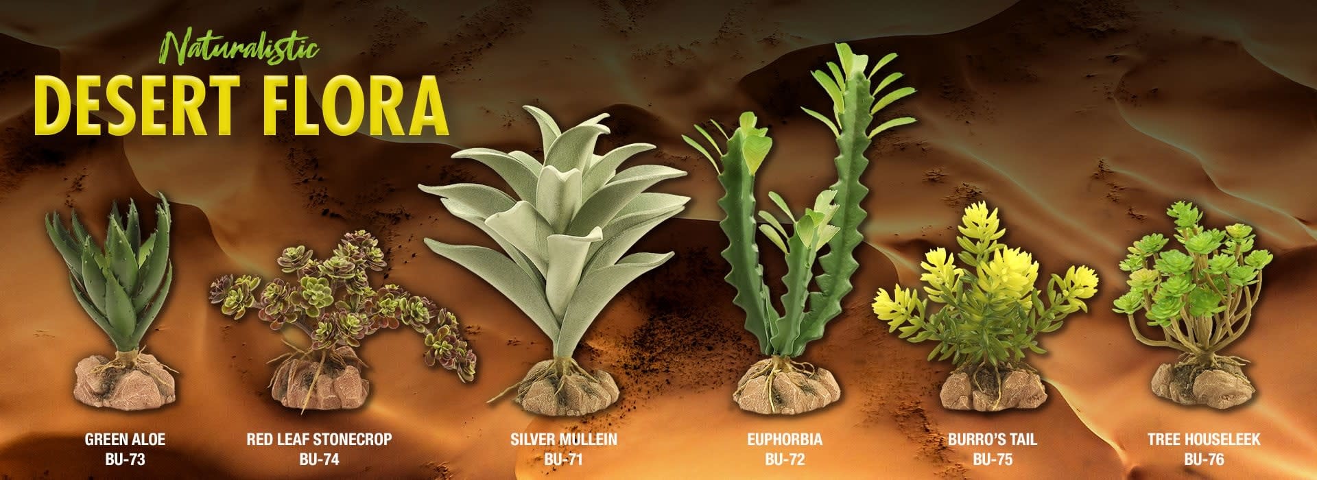 Zoomed ZOO MED Flore du désert