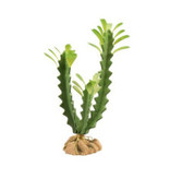 Zoomed ZOO MED Flore du désert