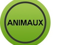 Promotions - animals