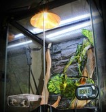 Pangea PANGEA THG-1 Thermomètre combiné numérique Pangea (température) Jauge d'humidité/hygromètre