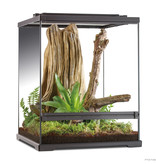 Exoterra Exoterra  Terrarium pour amphibien/ Dart Frog