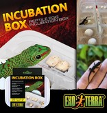 Exoterra EXO TERRA PT2443 Bac pour incubation