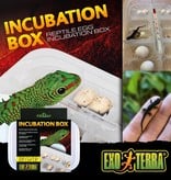 Exoterra Incubation tray