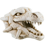 Treasures underwater Dragon Skull