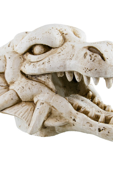 Treasures underwater Crâne de dragon - Dragon Skull