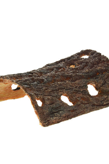 Treasures underwater UNDERWATER TREASURES 65463 Cachette Demi Bûche