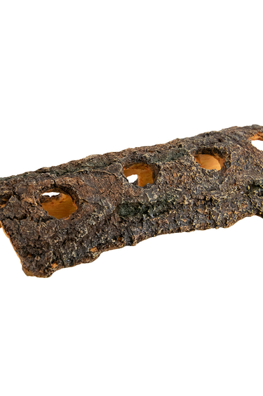 Treasures underwater UNDERWATER TREASURES 65464 Je te vois te cacher