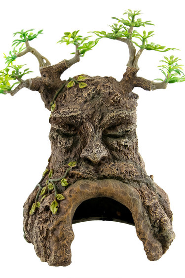 Treasures underwater UNDERWATER TREASURES 65465 Cornes sur Souche d'Arbre