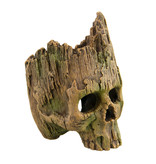 Treasures underwater Wood Skull