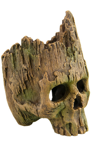 Treasures underwater Wood Skull