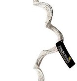 Galapagos GALAPAGOS Branche de Jungle blanche torsadée