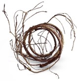 Pangea PANGEA UV-B Vigne brune 6'