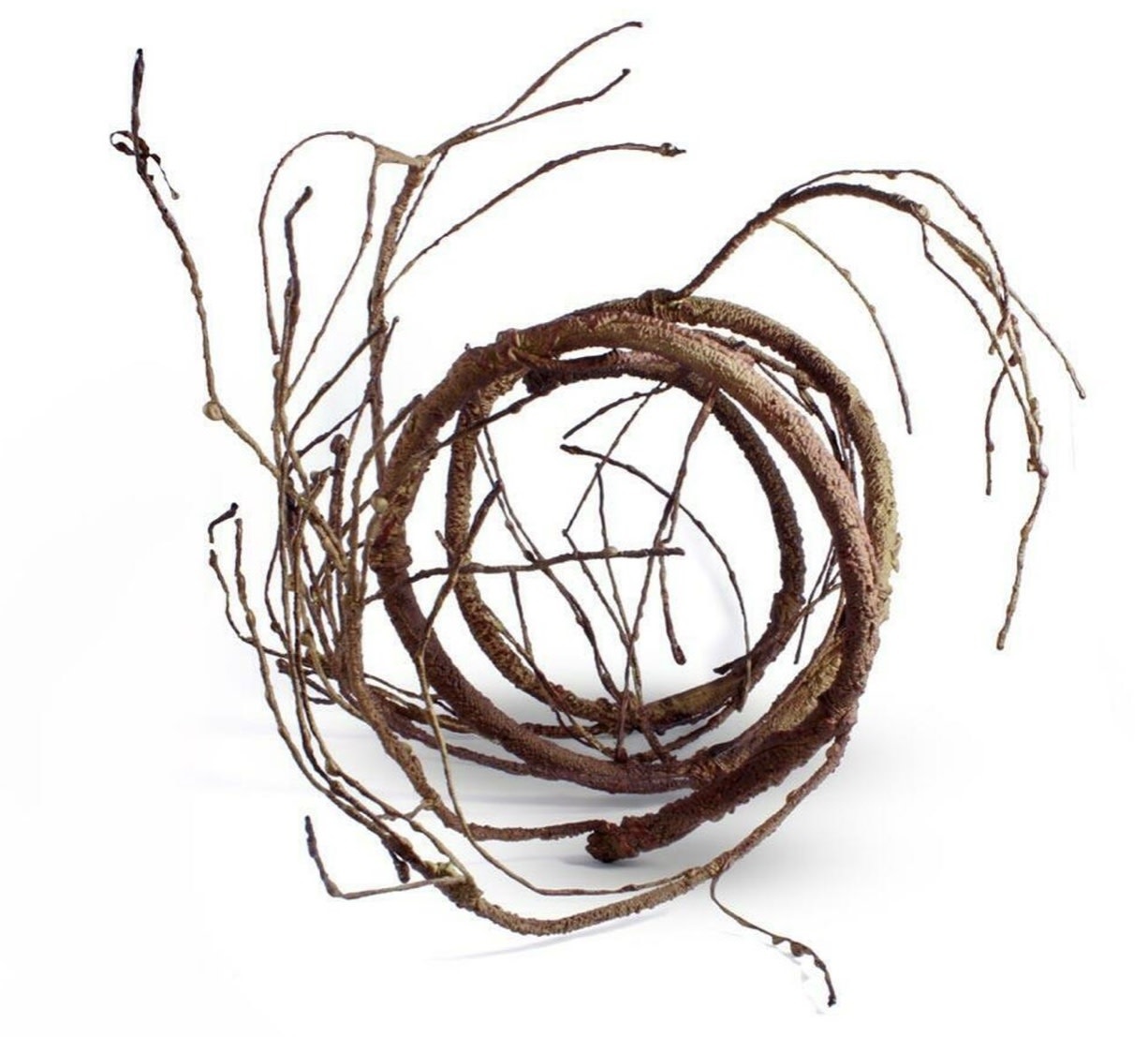 Pangea PANGEA UV-B Vigne brune 6'