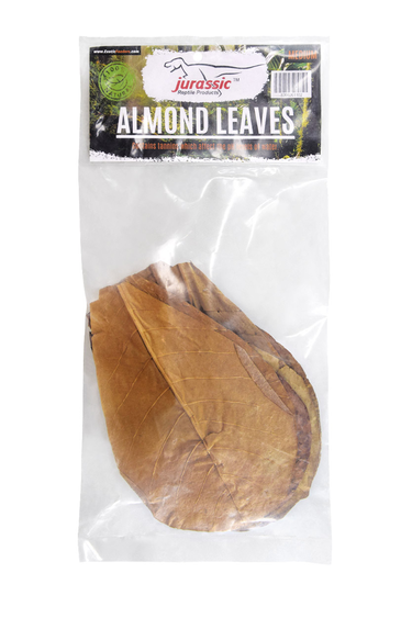 Jurassic Reptile Almond Leaves - Medium