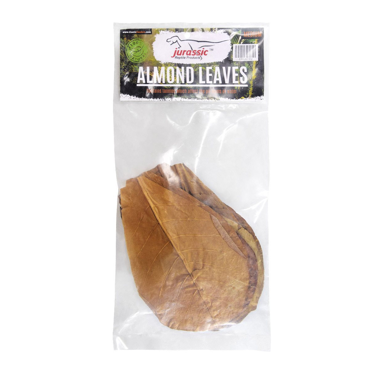 Jurassic Reptile Almond Leaves - Medium