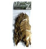 All things reptile ATR-MGL-10BL-012 Grandes feuilles de mangue pq de 10