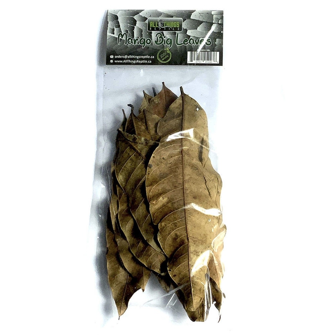 All things reptile ATR-MGL-10BL-012 Grandes feuilles de mangue pq de 10