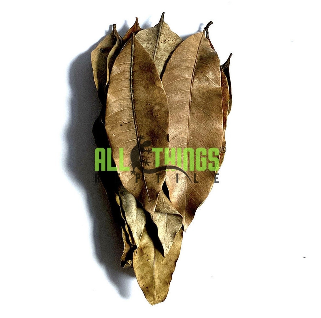 All things reptile ATR-MGL-10BL-012 Grandes feuilles de mangue pq de 10