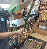 Magazoo Serpent ratier Beauté de Taiwan (Mâle 4.5 ans)