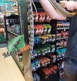 Magazoo Serpent ratier Beauté de Taiwan (Femelle 6 ans)