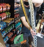 Magazoo Serpent ratier Beauté de Taiwan (Femelle 6 ans)