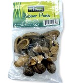 All things reptile Dried Rubber Tree Pods (12-Pack)