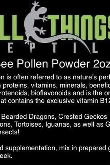 All things reptile Poudre de pollen d'abeille 2 oz - Bee Pollen Powder 2 oz