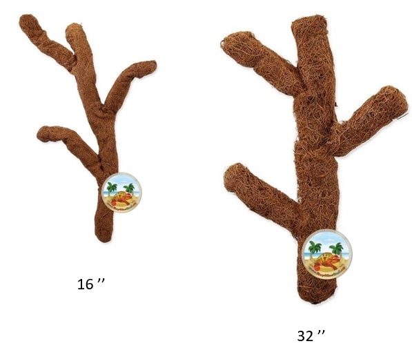 Branche de Coco Troncho pliable - Bendable Coco Troncho Branch - Magazoo,  l'Univers des Reptiles