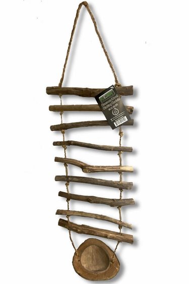 All things reptile ATR Rideau d'escalade en bois de cannelle