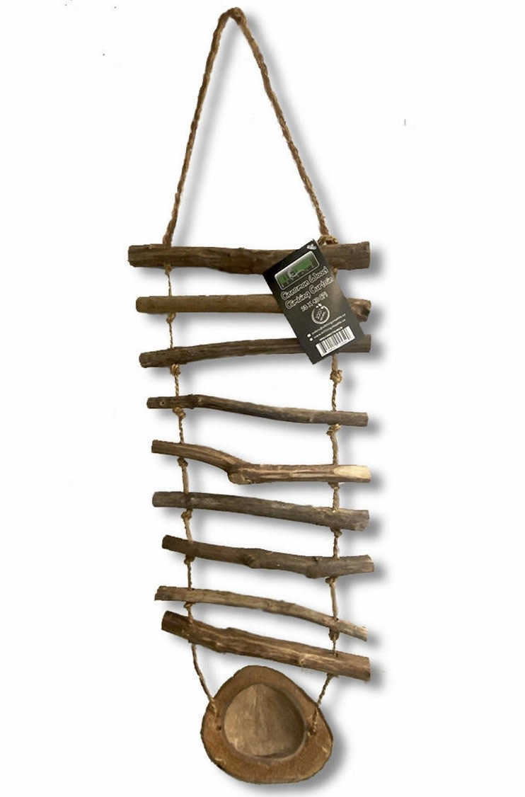 All things reptile ATR Rideau d'escalade en bois de cannelle