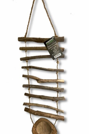 All things reptile Cinnamon Wood Climbing Curtain