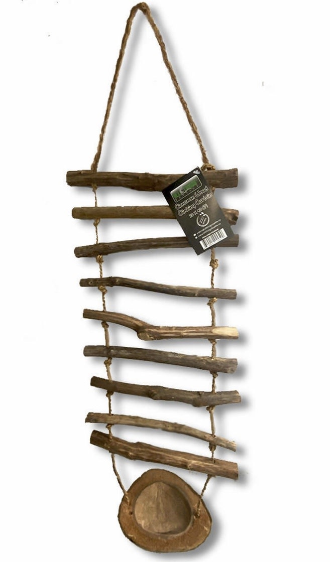 All things reptile ATR Rideau d'escalade en bois de cannelle