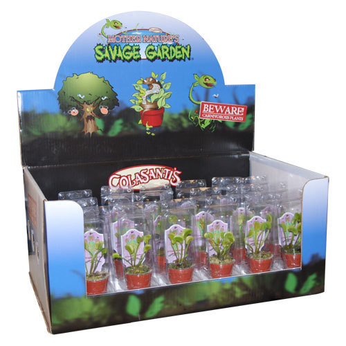 Magazoo Plante carnivore / Venus fly trap
